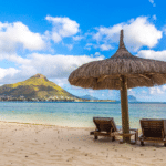 Tamarin Constellation Marguery