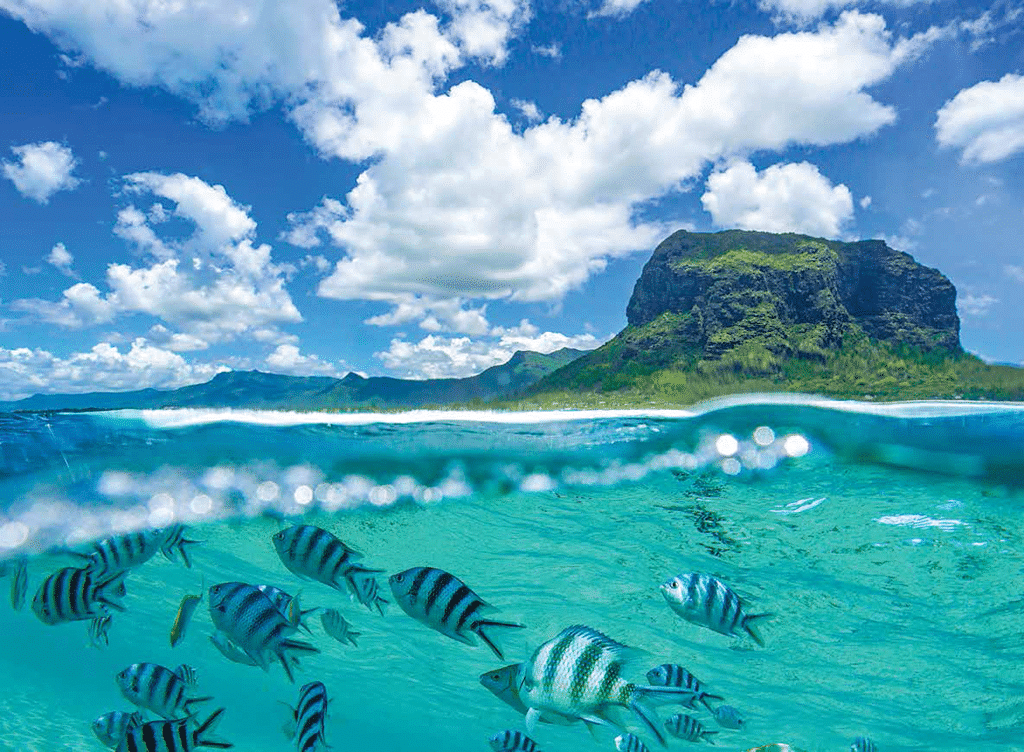 baie du cap ile maurice