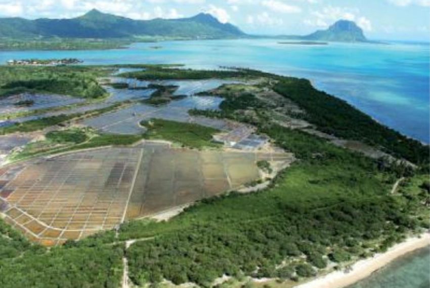 projet immobilier chantier salines riviere noire 2018