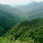 black_river_gorges_national_park-immobilier-ile