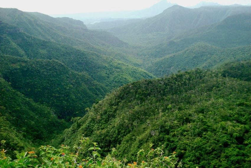 black_river_gorges_national_park-immobilier-ile