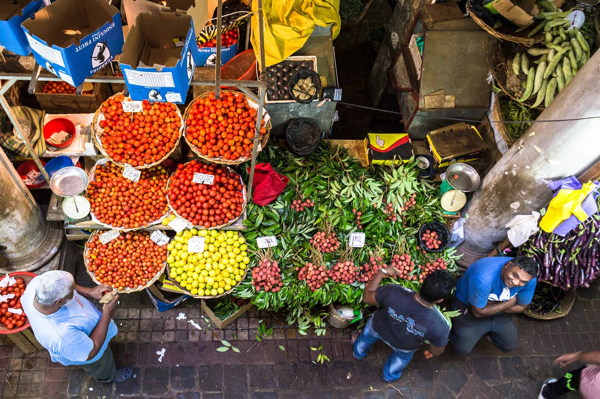 Marché de l'île Maurice - Immobilier ile maurice