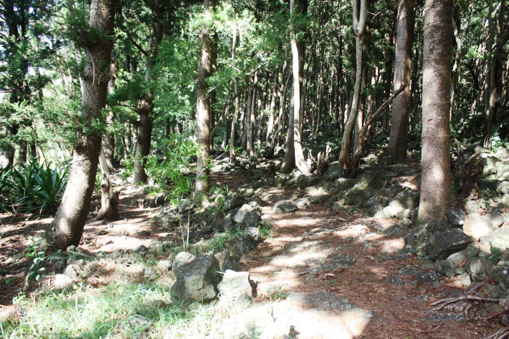 bras-d-eau-national-park